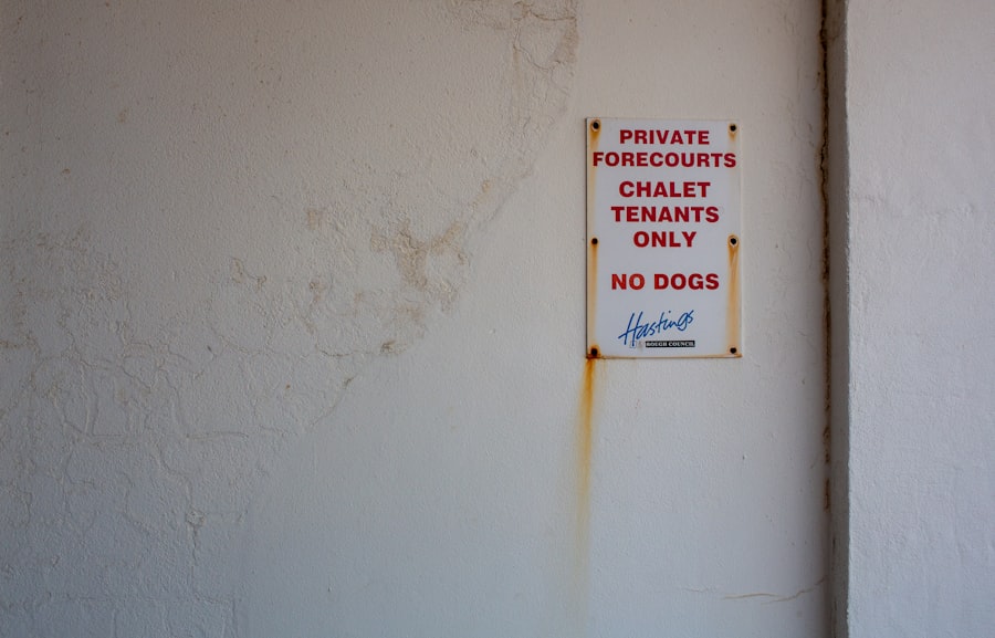 renting rules