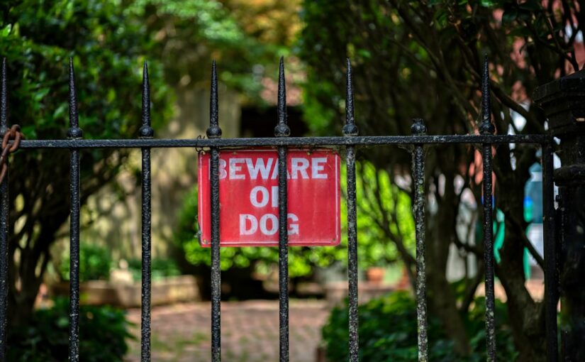 Photo renting rules
